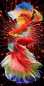 Preview: Diamond Painting  Goldfisch-Duo